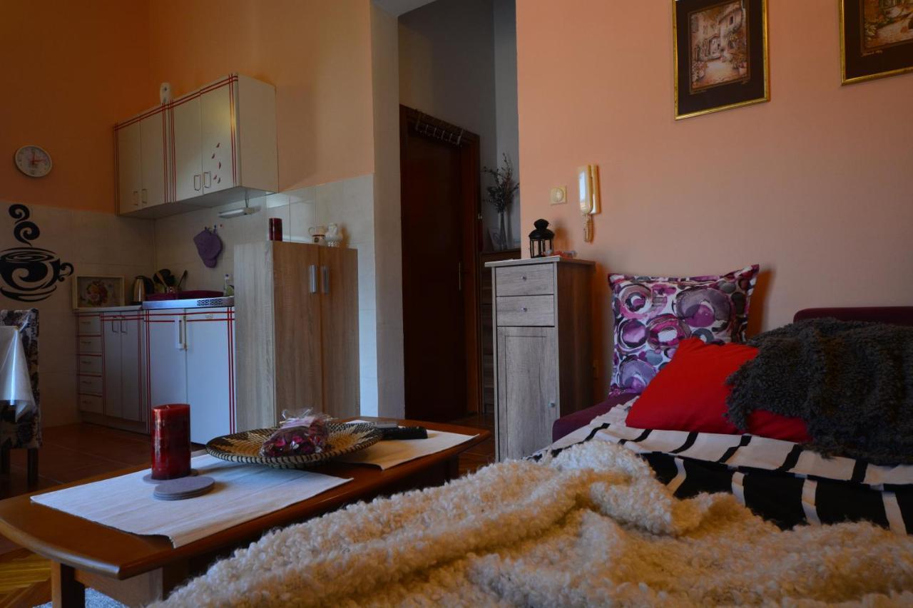 Apartman Milosevic كوتور المظهر الخارجي الصورة